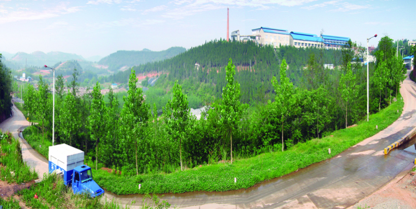 德阳市固体废物处置有限公司订购一台100KW潍坊柴油发电机组